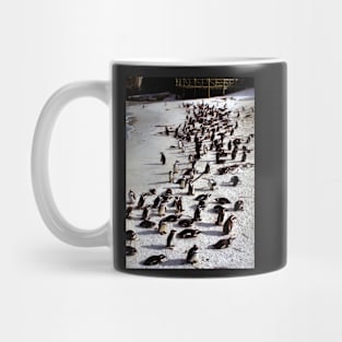 Colony of African Penguins, Boulder Beach, South Africa Mug